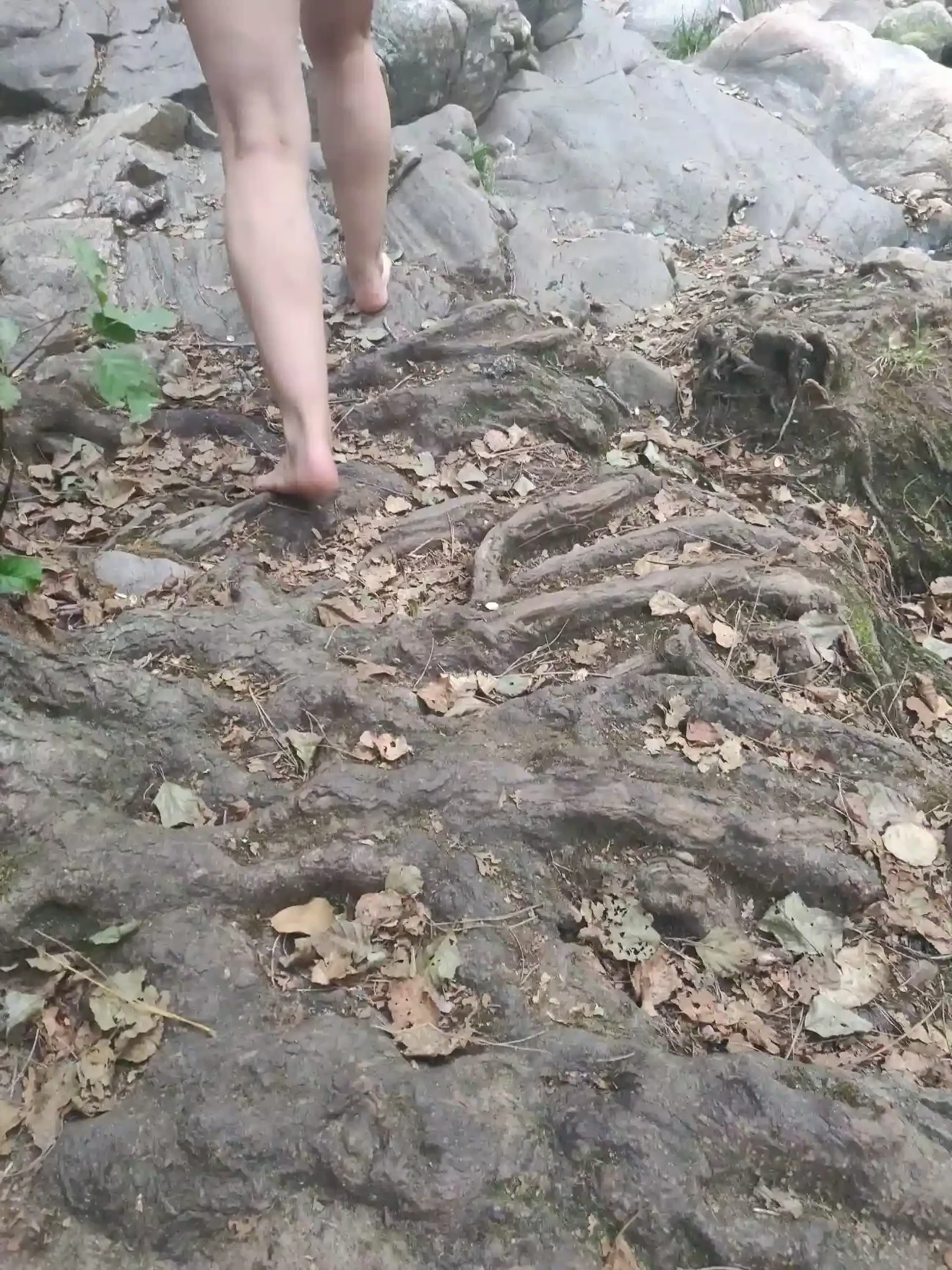 La sabiduría del buen vivir